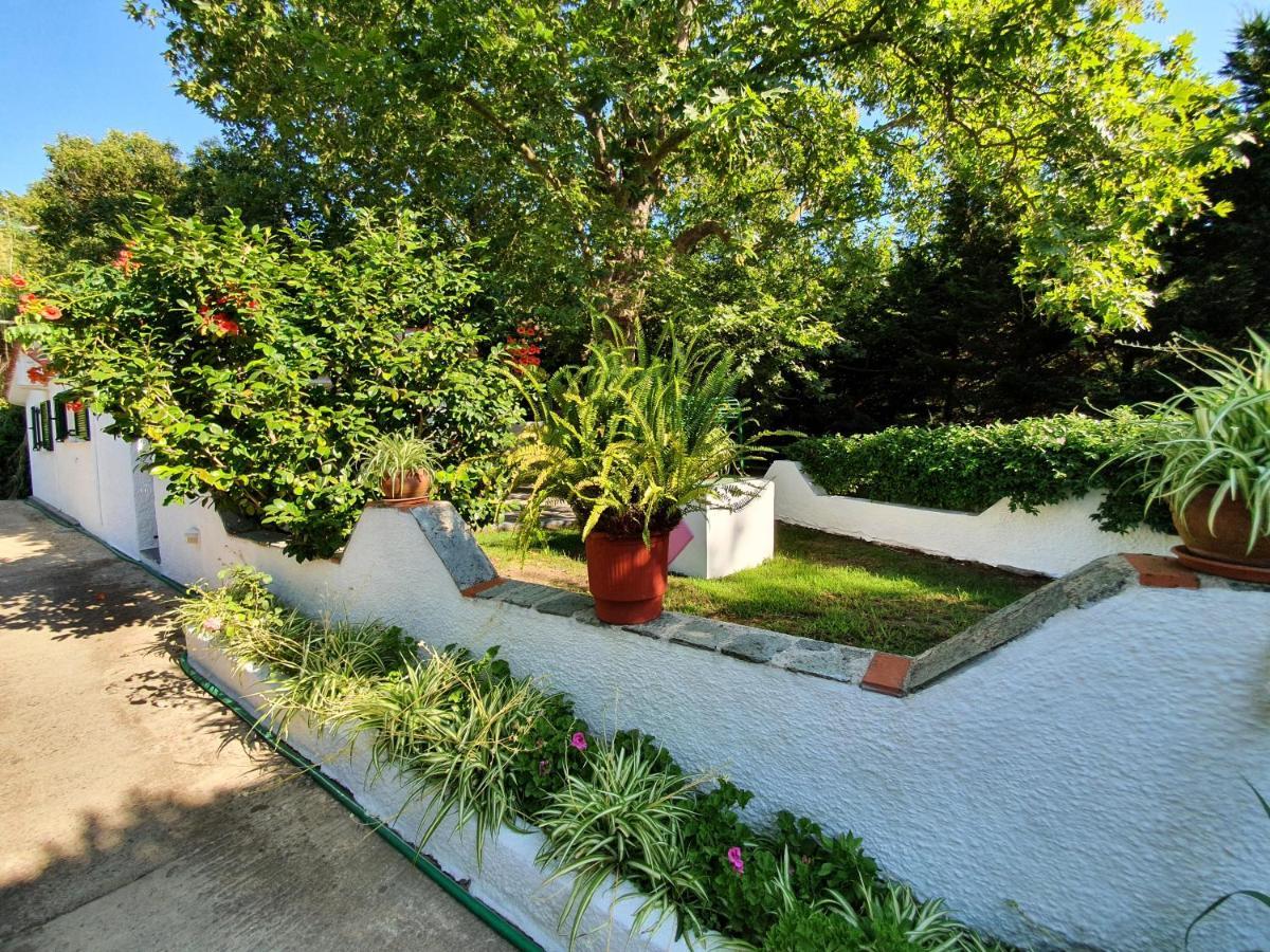 Dionisos Studios And Apts Skiathos Koukounaries Exteriér fotografie