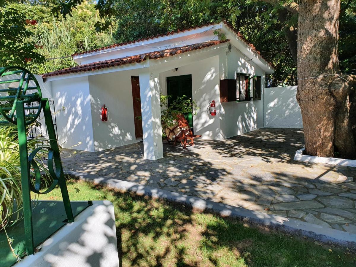 Dionisos Studios And Apts Skiathos Koukounaries Exteriér fotografie